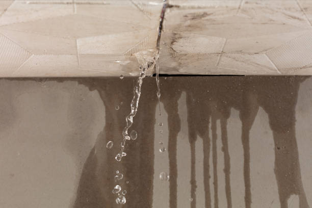 Professional Structural Drying technician working in Thompsonville, PA